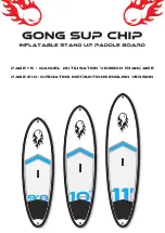 Gong SUP CHIP Operating Instructions Manual preview