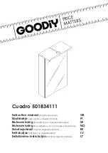 Goodiy Cuadro 501834111 Instruction Manual предпросмотр