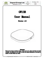 Предварительный просмотр 1 страницы Gopod Group GW13B User Manual