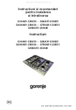 Preview for 81 page of Gorenje G34AX1-236650 Instructions For The Installation And Advice For The Maintenance