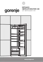 Gorenje RI4181E1UK Detailed Instructions For Use предпросмотр