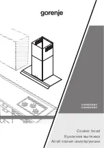 Gorenje S3 WHGC663S4X Manual preview