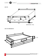 Preview for 4 page of Gorgy Timing LEDI 1S User Manual