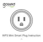 gosund WP3 User Manual preview