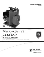 Goulds Pumps 2AM32-P Installation, Operation And Maintenance Instructions предпросмотр