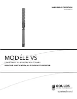 Предварительный просмотр 35 страницы Goulds Pumps VS Installation, Operation And Maintenance Instructions