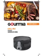 Gourmia GBQ330 Manual preview