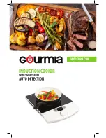 Gourmia GIC100 User Manual preview