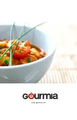 Preview for 31 page of Gourmia GPC1000 Instructions Manual