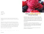 Preview for 2 page of Gourmia GSI280 Manual