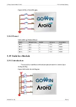 Preview for 39 page of GOWIN DK-START-GW2A55-PG484 V1.3 User Manual