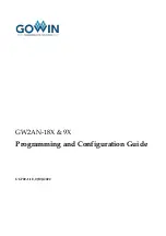 GOWIN GW2AN-19X Programming And Configuration Manual preview