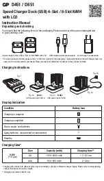 GP D451 Instruction Manual preview