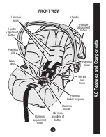 Preview for 13 page of Graco 8A16GNI - Infant SafeSeat Step 1 Owner'S Manual