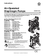 Graco Husky 515 D51 Series Instructions Manual preview