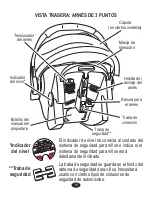 Предварительный просмотр 58 страницы Graco Spree ISPC089BB Owner'S Manual