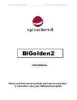 Gradient BiGolden2 38 User Manual preview