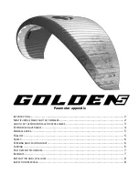 Gradient Golden 5 Appendix preview