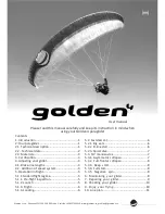 Предварительный просмотр 2 страницы Gradient Golden4 User Manual