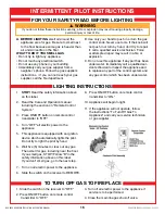 Preview for 16 page of Grand Canyon Gas Logs LDB24B-EN Installation And Operation Manual