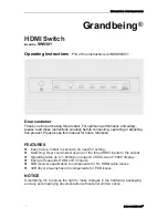 Grandbeing SW0301 Operating Instructions Manual preview