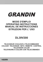 Grandin DL39V200 Operating Instructions Manual preview