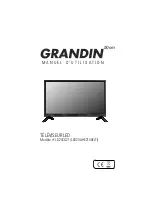 Grandin LD20CG21 Instruction Manual preview