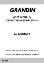 Grandin LD40SGB201 Operating Instructions Manual preview