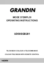 Grandin UD58SGB201 Operating Instructions Manual preview