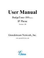 Grandstream Networks BudgeTone-101 User Manual preview