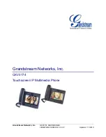 Grandstream Networks GXV3174 User Manual предпросмотр