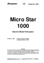 GRAUPNER Micro Star 1000 Manual предпросмотр