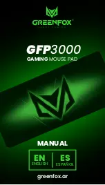 GREENFOX GFP3000 Manual preview
