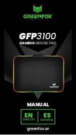 GREENFOX GFP3100 Manual preview