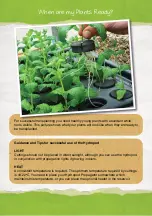 Предварительный просмотр 5 страницы greenhouse sensation Hydropod Propagator Assembly And Maintenance Instructions