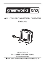 Предварительный просмотр 1 страницы GreenWorks Pro CH60A00 Owner'S Manual