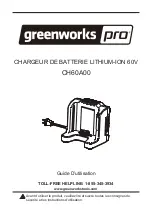 Предварительный просмотр 14 страницы GreenWorks Pro CH60A00 Owner'S Manual