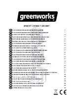 Предварительный просмотр 1 страницы GreenWorks Tools 2918307 Original Instructions Manual