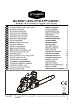 GreenWorks 2000507 Operator'S Manual предпросмотр