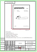 GreenWorks 2000600 Operator'S Manual preview