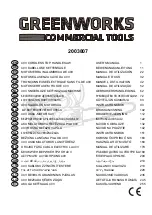 Preview for 1 page of GreenWorks 2003807 User Manual