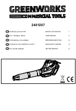 GreenWorks 2401207 User Manual предпросмотр