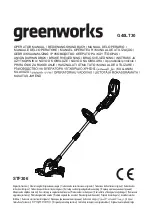 Предварительный просмотр 1 страницы GreenWorks G40LT30 Operator'S Manual