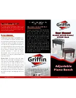 Griffin Technology AP5103 Brown User Manual preview