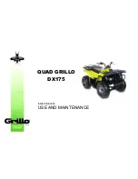 Grillo DX175 Use And Maintenance preview