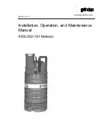 Preview for 1 page of Grindex 8106.082 Installation, Operation And Maintenance Manual