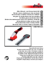 Grizzly AGS 108 Lion Original Instructions For Use preview