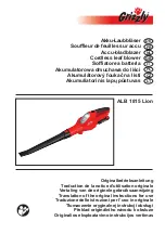 Grizzly ALB 1815 Lion Instructions For Use Manual preview