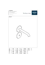 Preview for 1 page of Grohe ESSENCE E 36 447 Manual