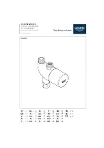 Grohe GROHTHERM MICRO 34 487 Installation Instructions Manual preview